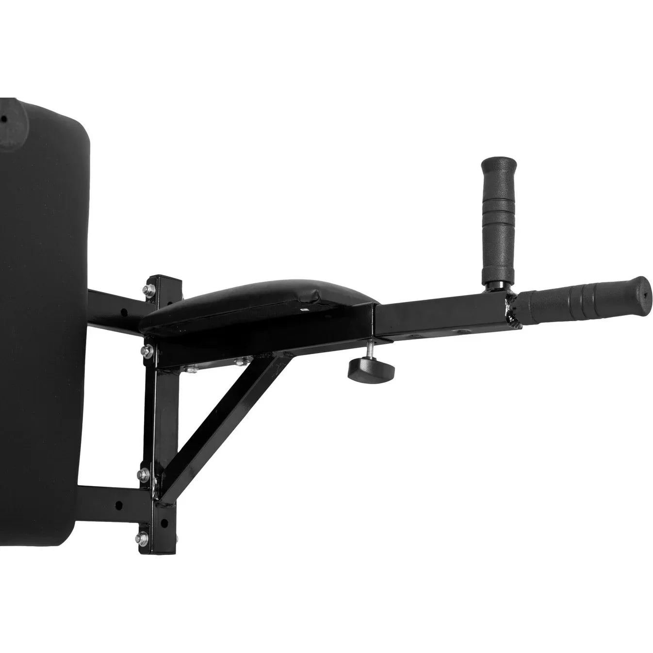 Stations à dip chaise romaine mural 200 kg